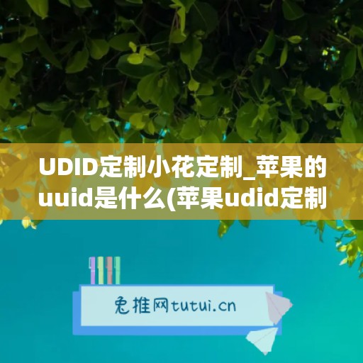 UDID定制小花定制_苹果的uuid是什么(苹果udid定制证书有什么用)