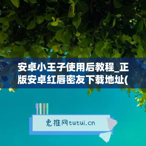 安卓小王子使用后教程_正版安卓红唇密友下载地址(小王子唇膜好用吗)