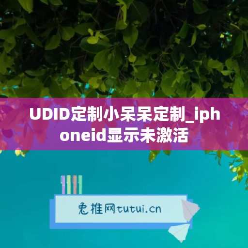 UDID定制小呆呆定制_iphoneid显示未激活