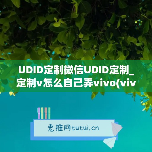 UDID定制微信UDID定制_定制v怎么自己弄vivo(vivo手机定制)