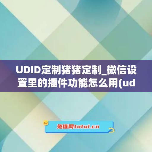 UDID定制猪猪定制_微信设置里的插件功能怎么用(udid定制软件)