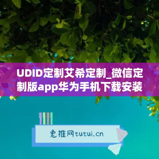 UDID定制艾希定制_微信定制版app华为手机下载安装