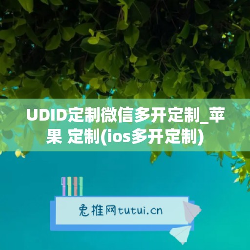 UDID定制微信多开定制_苹果 定制(ios多开定制)