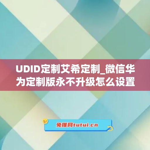 UDID定制艾希定制_微信华为定制版永不升级怎么设置