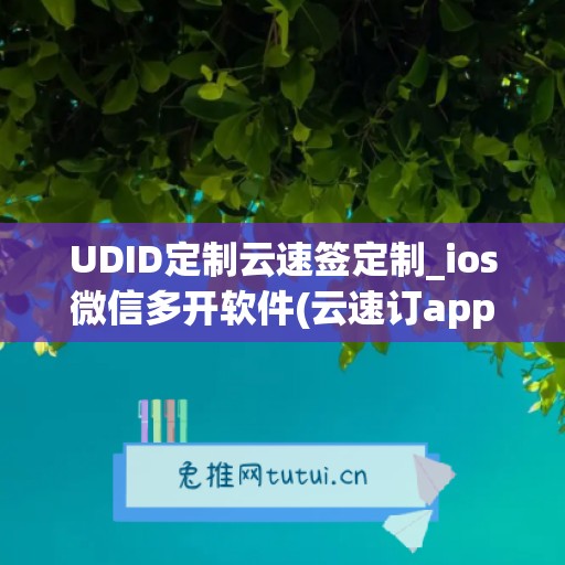 UDID定制云速签定制_ios微信多开软件(云速订app)