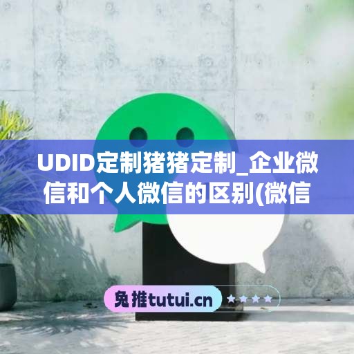 UDID定制猪猪定制_企业微信和个人微信的区别(微信和企业微信是一家吗)