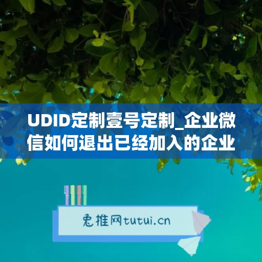 UDID定制壹号定制_企业微信如何退出已经加入的企业(企业微信怎么退出企业号)