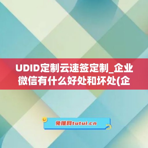 UDID定制云速签定制_企业微信有什么好处和坏处(企业微信 云)