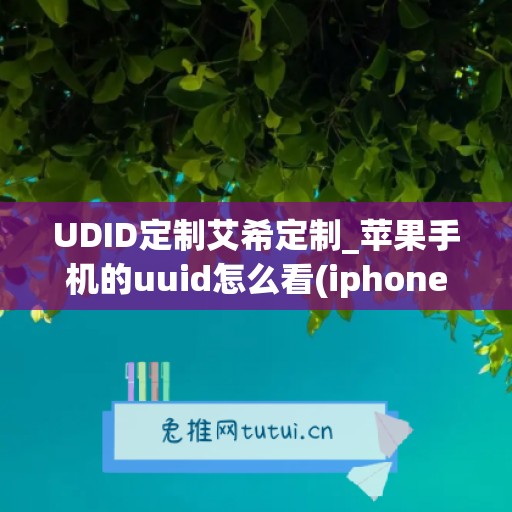 UDID定制艾希定制_苹果手机的uuid怎么看(iphone的uuid怎么看)