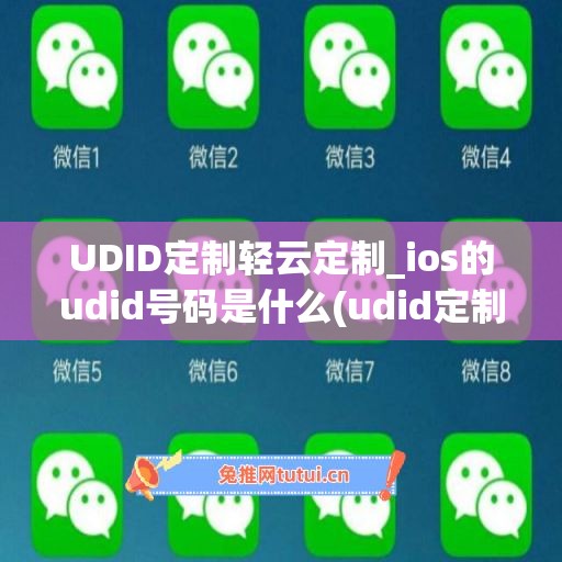 UDID定制轻云定制_ios的udid号码是什么(udid定制软件)