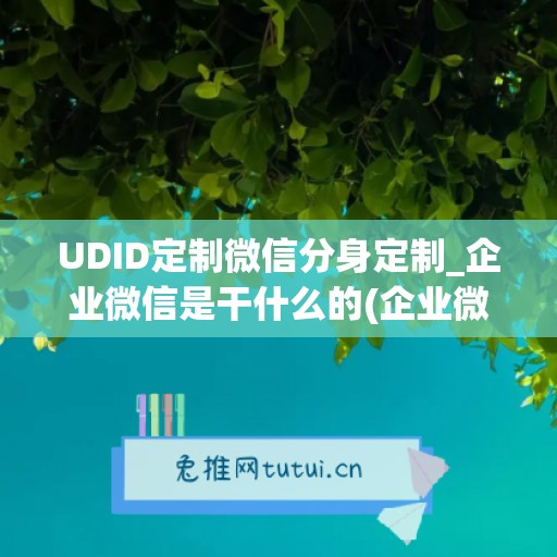 UDID定制微信分身定制_企业微信是干什么的(企业微信分身定位软件)