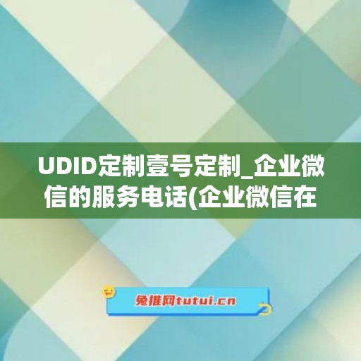 UDID定制壹号定制_企业微信的服务电话(企业微信在今年也推出了定制专属的)