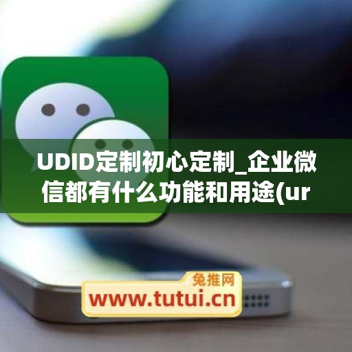 UDID定制初心定制_企业微信都有什么功能和用途(ur企业微信)