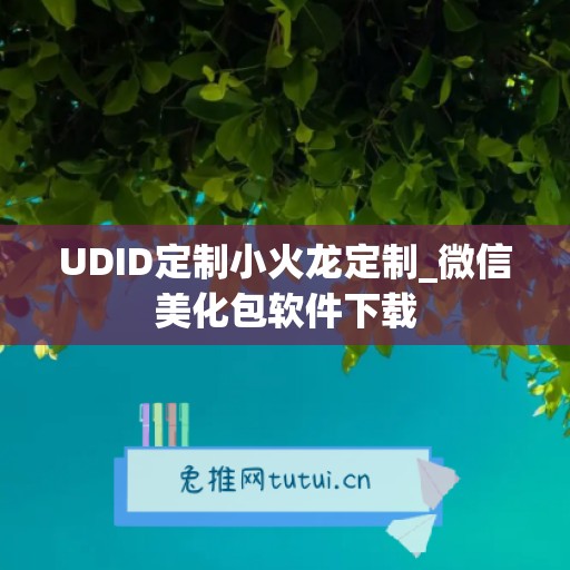 UDID定制小火龙定制_微信美化包软件下载