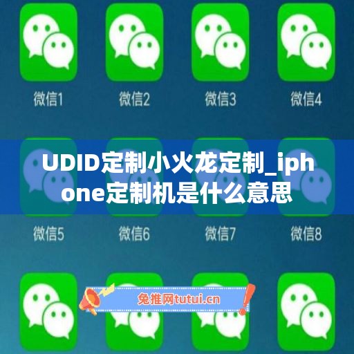 UDID定制小火龙定制_iphone定制机是什么意思