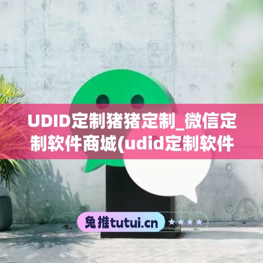 UDID定制猪猪定制_微信定制软件商城(udid定制软件)