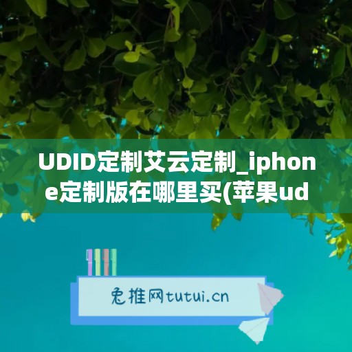 UDID定制艾云定制_iphone定制版在哪里买(苹果udid定制)