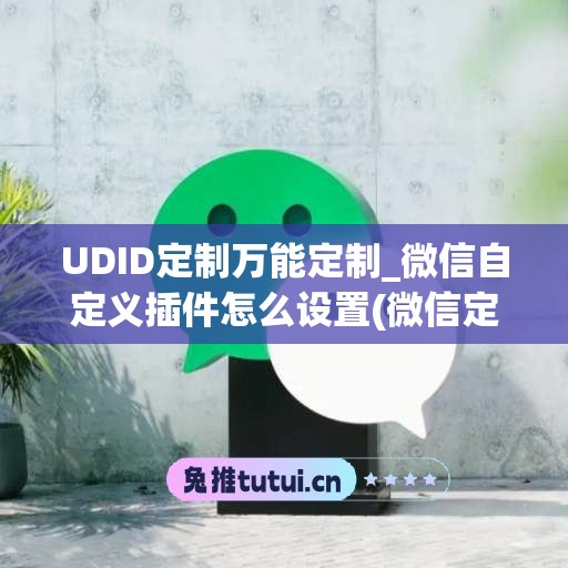 UDID定制万能定制_微信自定义插件怎么设置(微信定制软件)