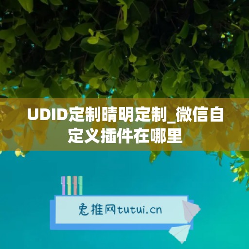 UDID定制晴明定制_微信自定义插件在哪里