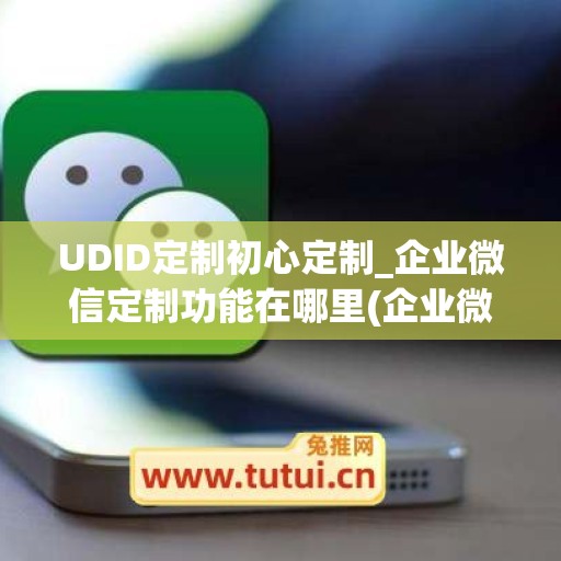 UDID定制初心定制_企业微信定制功能在哪里(企业微信定制化开发)