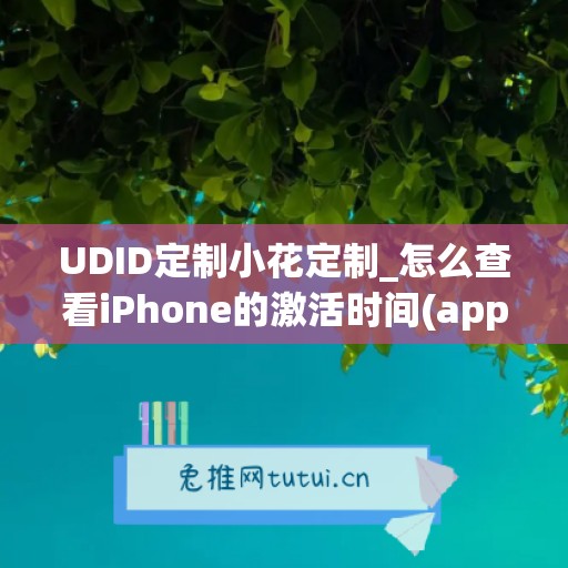 UDID定制小花定制_怎么查看iPhone的激活时间(apple查看激活)