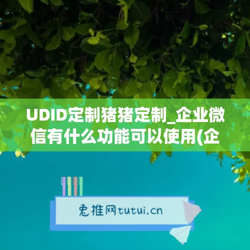 UDID定制猪猪定制_企业微信有什么功能可以使用(企业微信定制化开发)