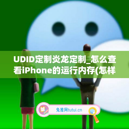 UDID定制炎龙定制_怎么查看iPhone的运行内存(怎样查看iphone的运行内存)