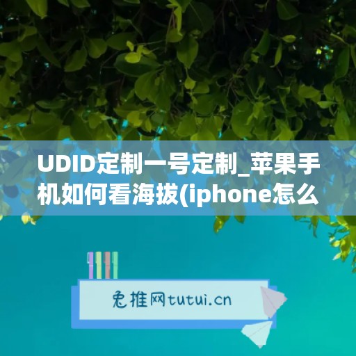 UDID定制一号定制_苹果手机如何看海拔(iphone怎么知道海拔)