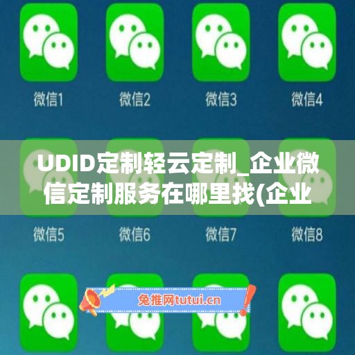 UDID定制轻云定制_企业微信定制服务在哪里找(企业微信内部定制开发)