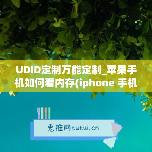 UDID定制万能定制_苹果手机如何看内存(iphone 手机内存怎么看)