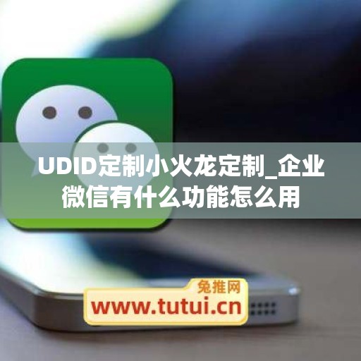 UDID定制小火龙定制_企业微信有什么功能怎么用