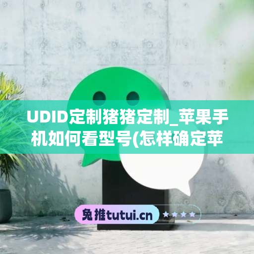 UDID定制猪猪定制_苹果手机如何看型号(怎样确定苹果手机型号)