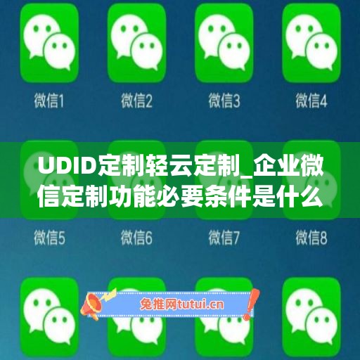 UDID定制轻云定制_企业微信定制功能必要条件是什么