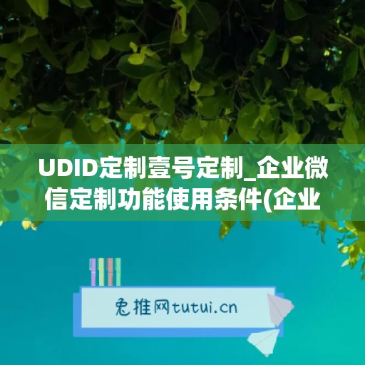 UDID定制壹号定制_企业微信定制功能使用条件(企业微信在今年也推出了定制专属的)