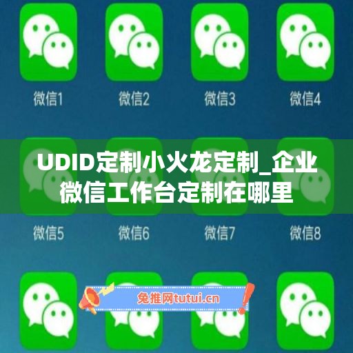 UDID定制小火龙定制_企业微信工作台定制在哪里