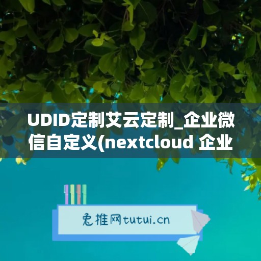 UDID定制艾云定制_企业微信自定义(nextcloud 企业微信)