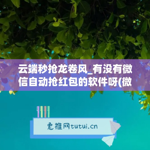 云端秒抢龙卷风_有没有微信自动抢红包的软件呀(微信云端秒抢免费的)