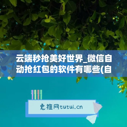 云端秒抢美好世界_微信自动抢红包的软件有哪些(自动抢红包app微信)