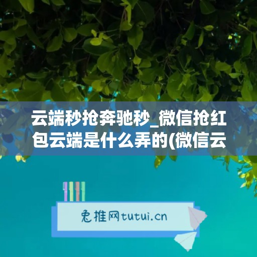 云端秒抢奔驰秒_微信抢红包云端是什么弄的(微信云端秒抢安全吗)