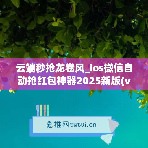 云端秒抢龙卷风_ios微信自动抢红包神器2025新版(vx自动抢红包ios)