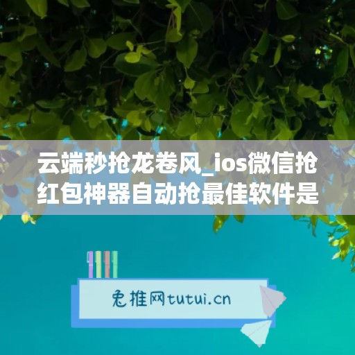 云端秒抢龙卷风_ios微信抢红包神器自动抢最佳软件是什么