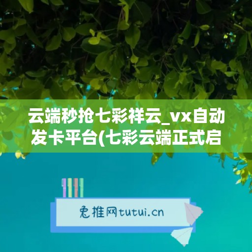 云端秒抢七彩祥云_vx自动发卡平台(七彩云端正式启用)