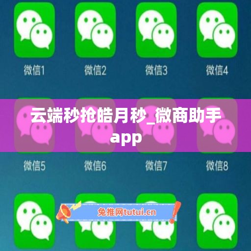 云端秒抢皓月秒_微商助手app