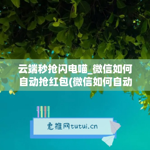 云端秒抢闪电喵_微信如何自动抢红包(微信如何自动抢最佳红包)