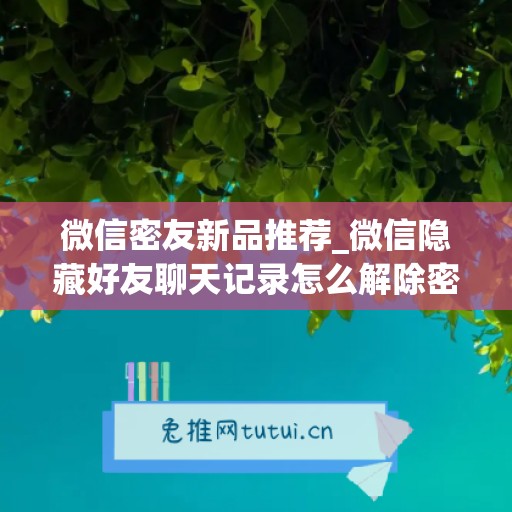 微信密友新品推荐_微信隐藏好友聊天记录怎么解除密码