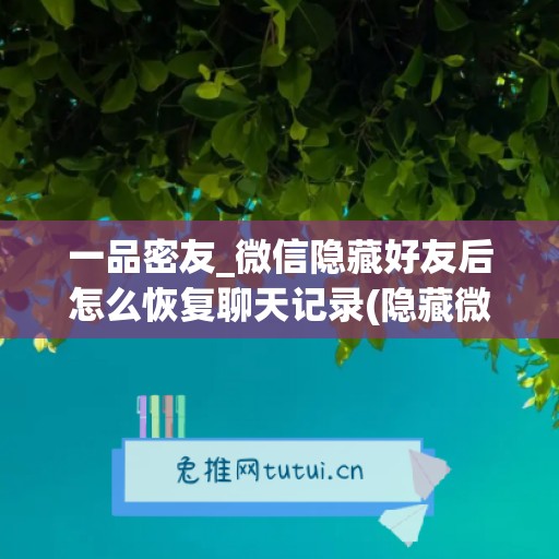 一品密友_微信隐藏好友后怎么恢复聊天记录(隐藏微信好友如何恢复)