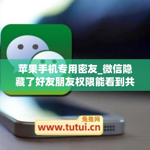 苹果手机专用密友_微信隐藏了好友朋友权限能看到共同的群吗(ios微信私密好友)