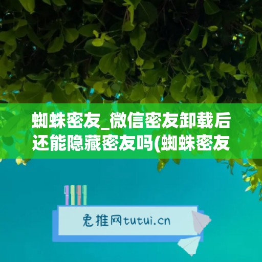 蜘蛛密友_微信密友卸载后还能隐藏密友吗(蜘蛛密友软件)