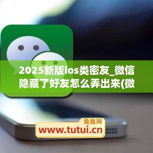 2025新版ios类密友_微信隐藏了好友怎么弄出来(微信隐藏好友 ios)