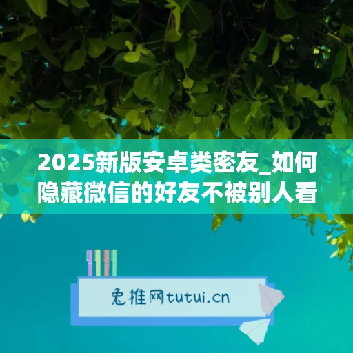 2025新版安卓类密友_如何隐藏微信的好友不被别人看到(微信密友怎样隐藏好友)